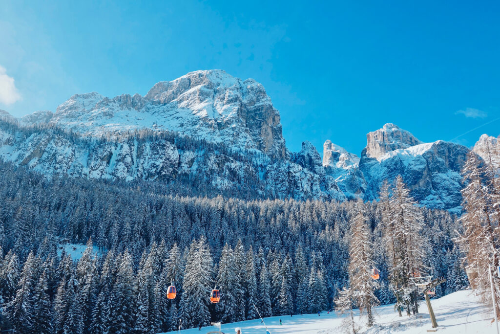 Processed with VSCO with c8 preset